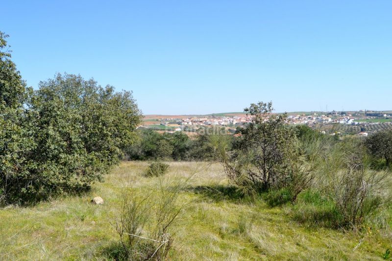 Foto b15df858-09bf-4da5-a344-21c579efe43a. Finca rústica a Don Álvaro