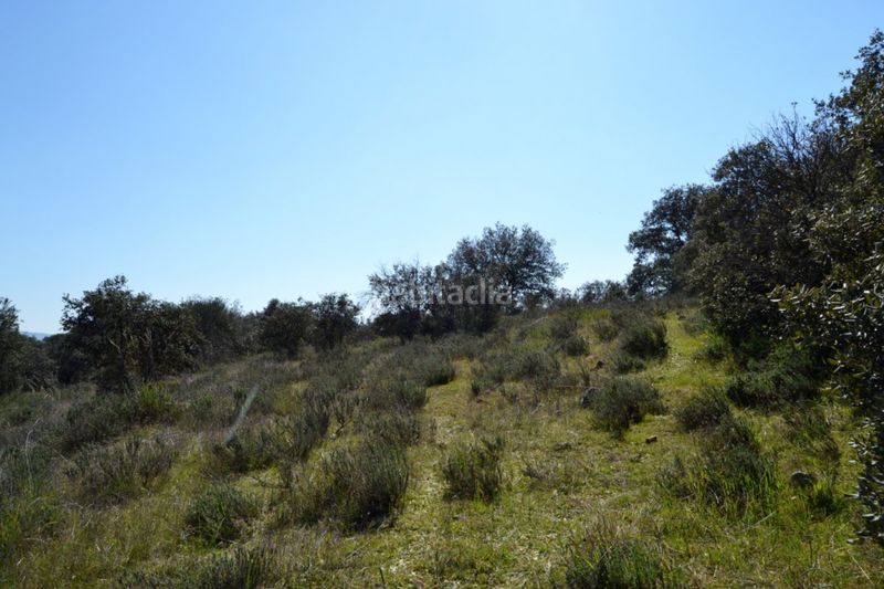Foto d9239371-1eb6-4847-8767-efc5a783fe47. Finca rústica a Don Álvaro
