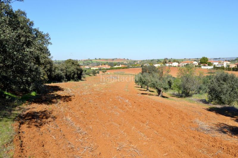 Foto fb2ee9e0-bdc5-42a7-b33e-a62eb40aecc9. Finca rústica a Don Álvaro
