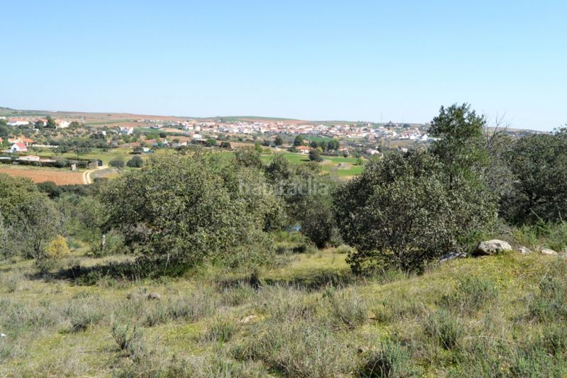 Foto fd590a37-bf46-41ed-a273-54f90d2fcbd6. Finca rústica a Don Álvaro