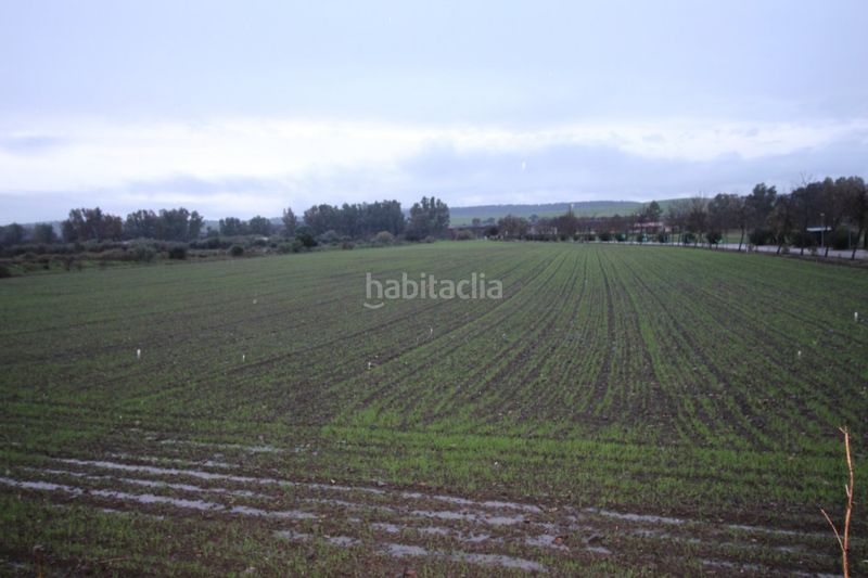 Foto 0dcb9338-98a2-4740-8895-bab29d490081. Finca rústica suelo urbano en Aljucén