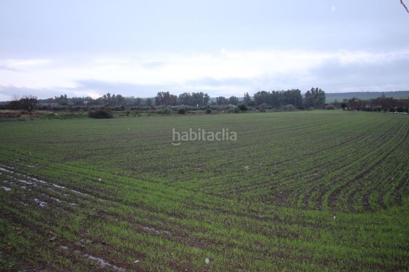 Foto b6d7af77-3e27-4ff8-a167-2442644667dc. Finca rústica suelo urbano en Aljucén