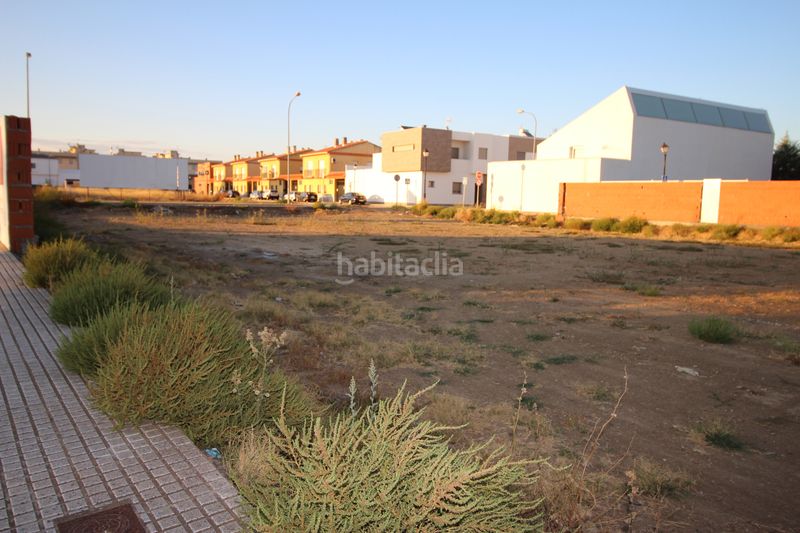 Foto 64d7de5b-59f0-472d-99fa-1f65c478f7bc. Finca rústica a Montijo