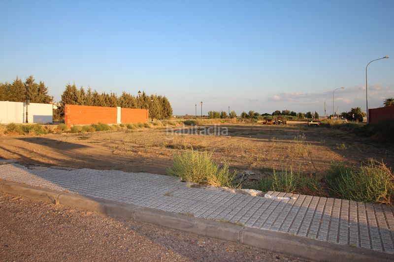 Foto 88e4b72a-89b6-4c05-b269-b4429aa3971e. Finca rústica a Montijo
