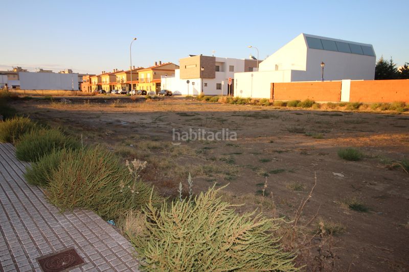 Foto 890d38e8-6e6a-4d5c-a707-d28f65ced107. Finca rústica a Montijo