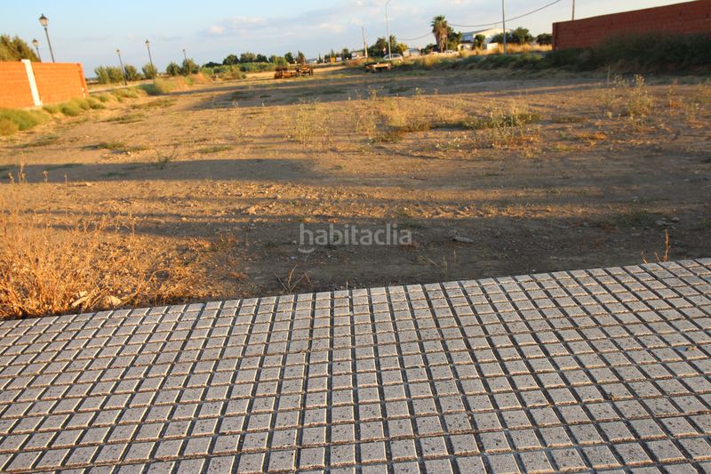 Foto 962d63de-4ff5-4722-a0b9-2574177f2f28. Finca rústica a Montijo