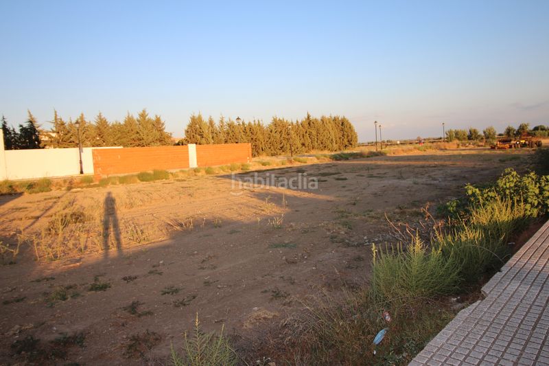 Foto bccf7eb4-527f-4a3b-bc5f-26778dcc8dc6. Finca rústica a Montijo