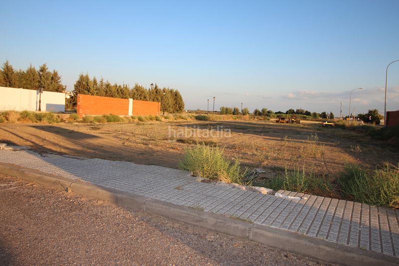 Foto f03eaab8-b8d5-430e-8c83-92d86eca9d16. Finca rústica a Montijo