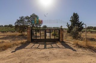 Xalet en Las Vaguadas. Parcela con chalet y piscina en un paraje muy tranquilo