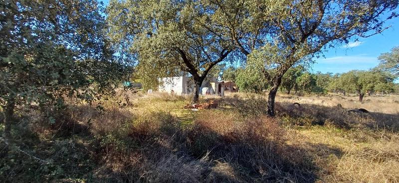 Foto 1232a178-a184-42f2-bdc1-254a94dba80d. Casa a botoa 31 a pedanías de Badajoz Badajoz