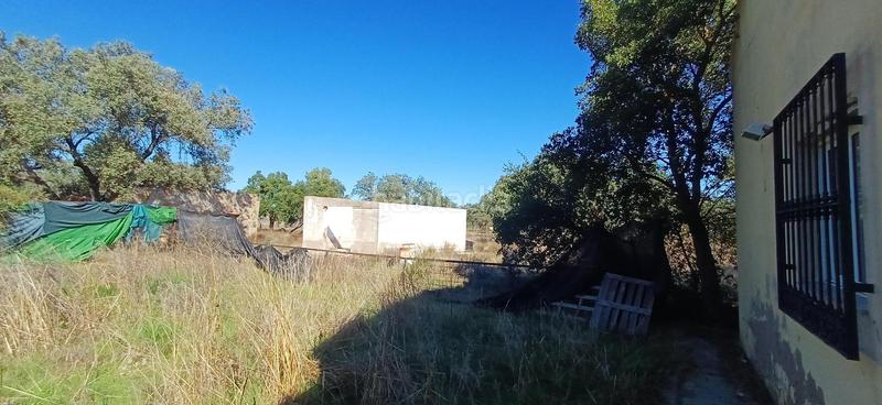 Foto 543725e9-3dfa-452d-9631-1b57539632db. Casa a botoa 31 a pedanías de Badajoz Badajoz