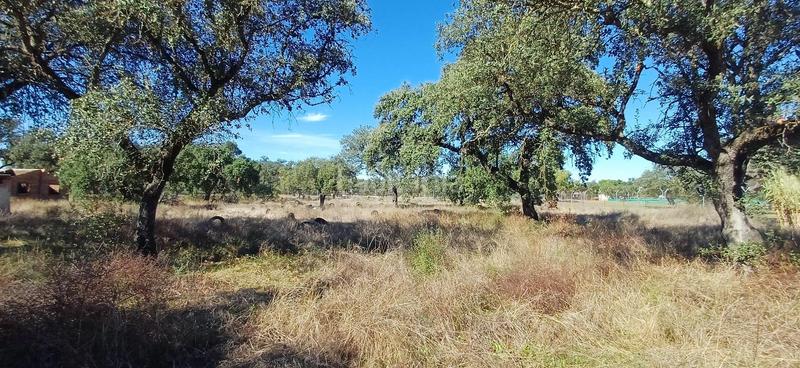 Foto 75b69ed7-9577-4c72-b965-876ae7175d2c. Casa a botoa 31 a pedanías de Badajoz Badajoz