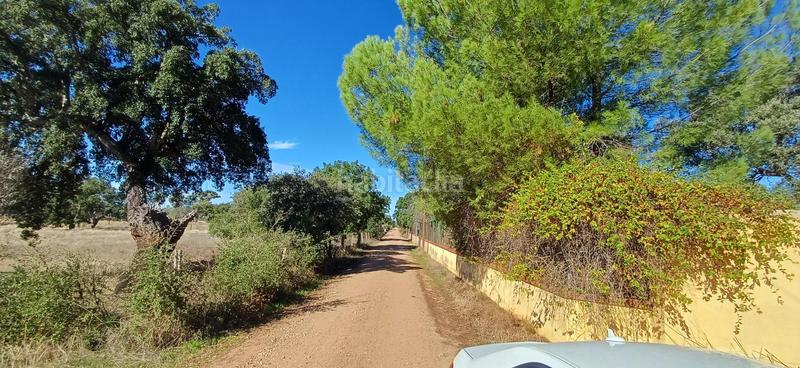 Foto eb132b90-9d48-4244-9b91-64cdc538f227. Casa a botoa 31 a pedanías de Badajoz Badajoz