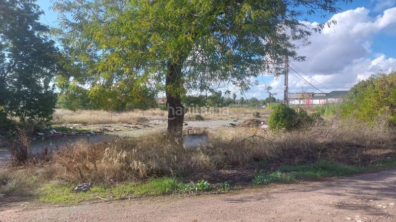 Foto 6b836cc9-59d9-429a-ac4b-d91dd12b663d. Finca rústica a sevilla 97 a Carretera de Sevilla - Los Montitos Badajoz