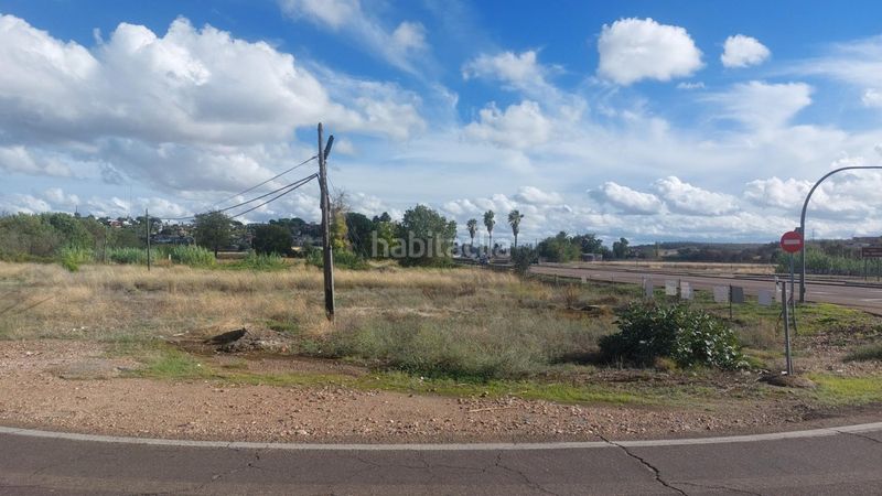 Foto c244be90-07d7-49c0-9f3d-d0d5d4289683. Finca rústica a sevilla 97 a Carretera de Sevilla - Los Montitos Badajoz