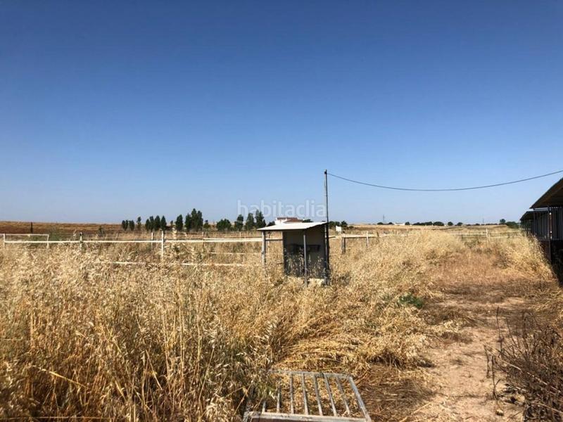 Foto 1e8a0501-9b7b-41ac-9e73-2fbaafdbd9ed. Finca rústica a Dehesilla de Calamón - Campomanes Badajoz