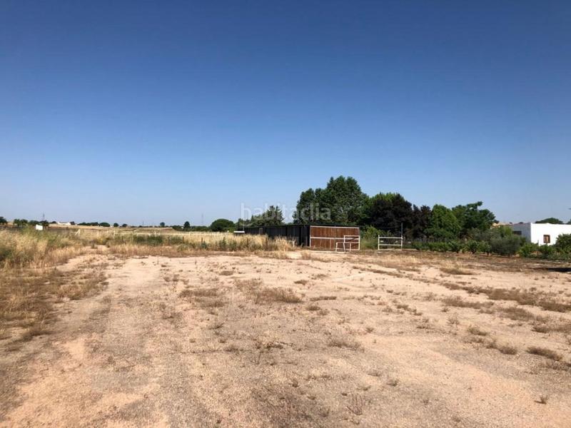 Foto 4034ab32-8512-4560-a748-df5fa828207a. Finca rústica a Dehesilla de Calamón - Campomanes Badajoz