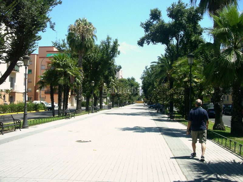 Foto 37aa75e3-2361-4a00-a590-9f61a89ddeaa. Pis a Santa Marina Badajoz
