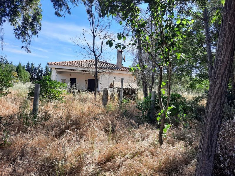 Foto 7eada5d1-ad68-4b54-b2a8-0bdabe086277. Chalet mit pool in pedanías de Badajoz Badajoz