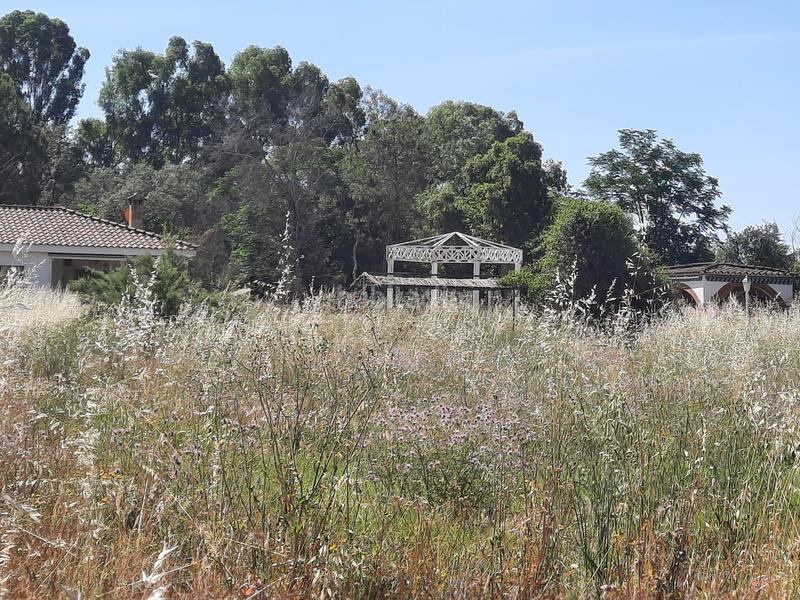 Foto ffc0d9bf-a2cc-41f9-8f56-d58cfbc9aa21. Chalet avec piscine dans pedanías de Badajoz Badajoz