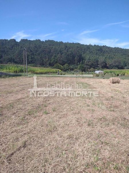 Foto 8be8652b-2823-4b56-9fbb-5d03e32807fa. Terreno residencial en Cee