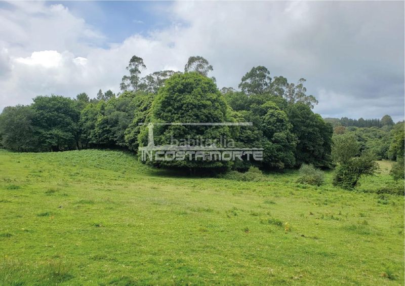 Foto d8e22a92-3b55-42e4-9475-84fa9b931a61. Terreno residencial en Sobrado