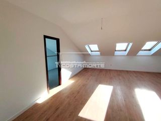 Penthouse  Alcalde fernandez
