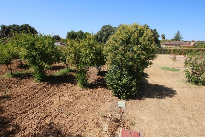 Foto 65a10fea-dc58-4c0c-89c6-9f57bbc59ebc. Masia amb calefacció aparcament piscina a Dehesilla de Calamón - Campomanes Badajoz