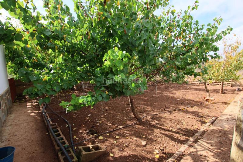 Foto 192544e5-85f9-4948-ae9b-a6815c3d594d. House with pool in pedanías de Badajoz Badajoz