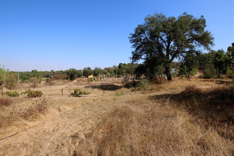Foto 2a822743-63c6-4461-94fe-481a7ee44222. Mas avec piscine dans Las Vaguadas Badajoz
