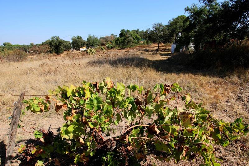 Foto 9694565c-eda1-4b14-af8d-5132de7a7aef. Mas avec piscine dans Las Vaguadas Badajoz