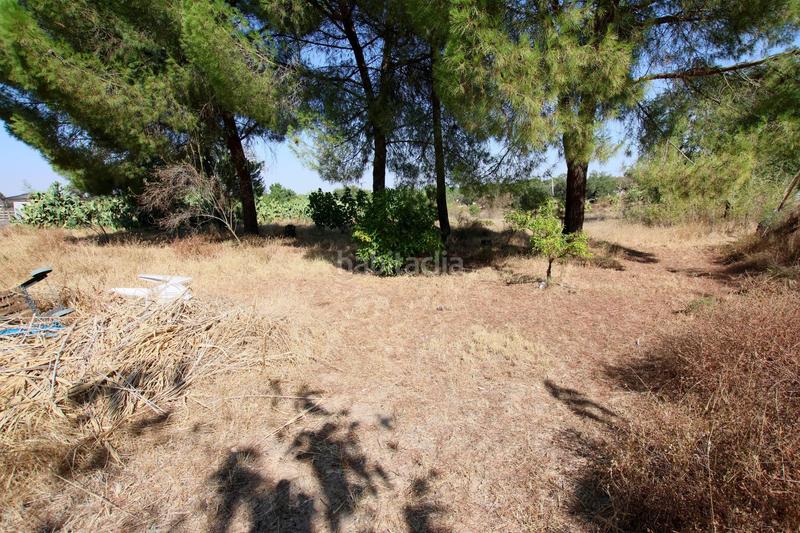 Foto f8086c95-9941-4294-a1bb-5658e8dcd15f. Mas avec piscine dans Las Vaguadas Badajoz