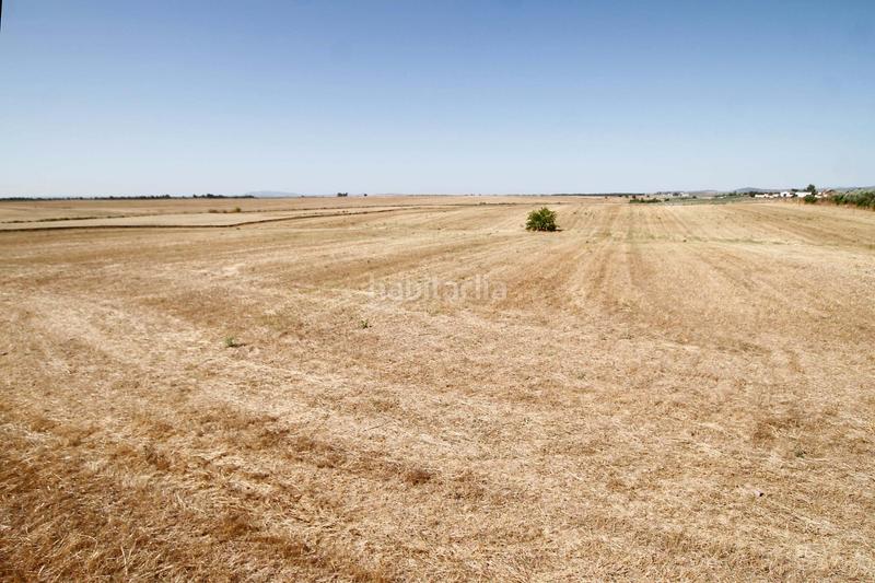 Foto 2b0d1836-f9f4-4208-a648-21eedfc09bf2. Terrain résidentiel dans Casco Antiguo Badajoz
