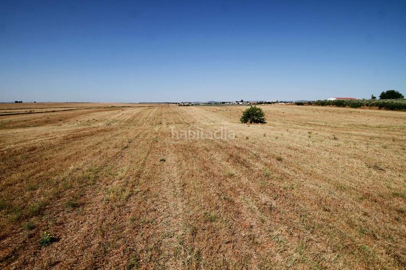 Foto 7edb8e66-b82b-414c-9c29-ecc7c9edc3ad. Terrain résidentiel dans Casco Antiguo Badajoz