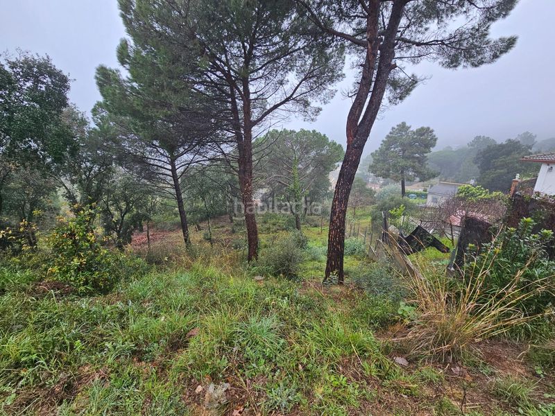 Foto 547e044c-27e0-4873-8305-1ab4f58b5518. Terreno residenziale in argimont 100 in Riudarenes