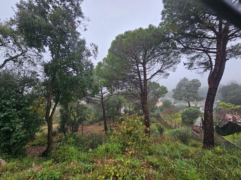 Foto 5ac81e1d-17ea-4391-8c83-4582bcdc56d7. Terreno residenziale in argimont 100 in Riudarenes