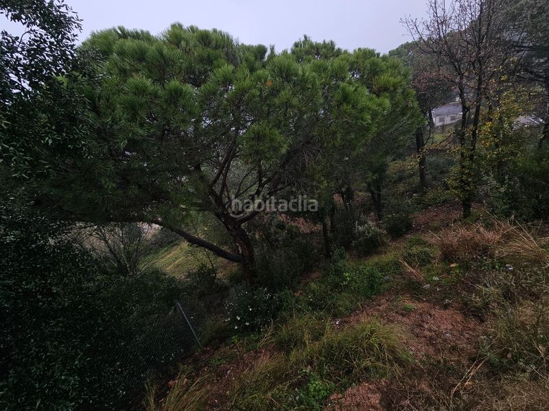 Foto cd7330f7-fb23-4b28-9f20-fda84f4fe32c. Terreno residenziale in argimont 100 in Riudarenes