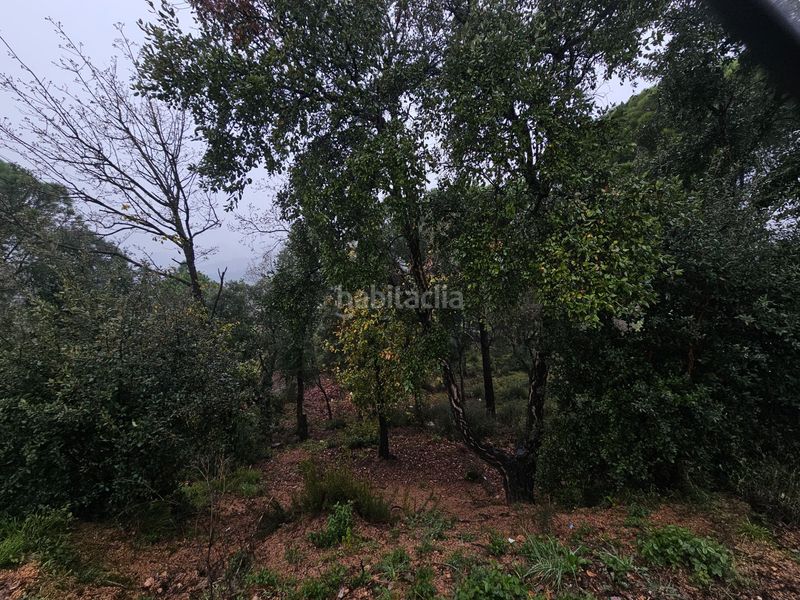Foto ed71cd4f-6732-45fd-831e-278d3b7c9c73. Terreno residenziale in argimont 100 in Riudarenes