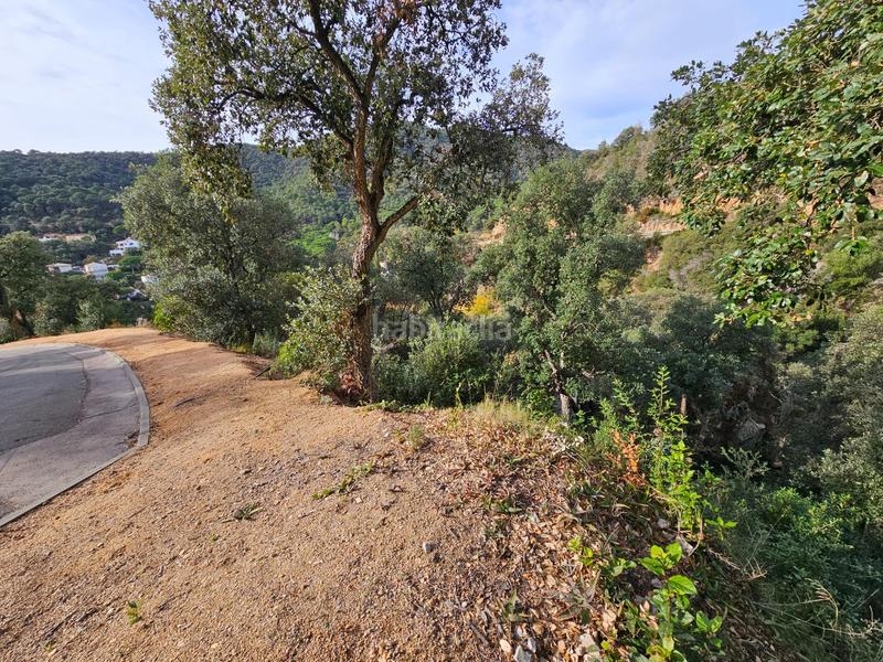 Foto 6a33a768-d1ec-48c4-bab5-cd4df9de2a82. Terreno residencial lote de parcelas en Rosamar en Santa Cristina d´Aro