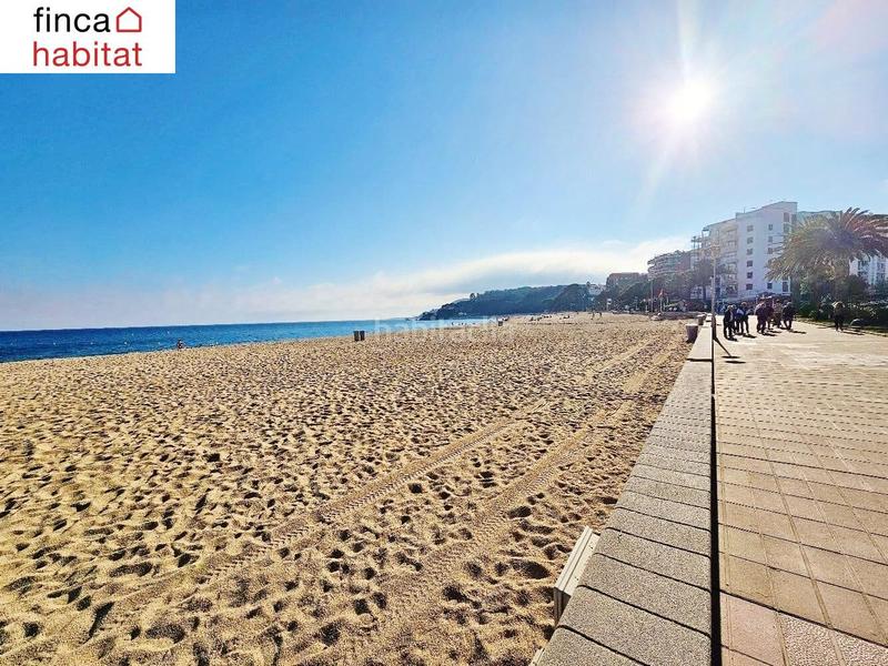 Foto b6d337ab-4c36-4ad3-9c2d-f7ce3ab0ef74. Planta baixa amb piscina a Fenals Lloret de Mar