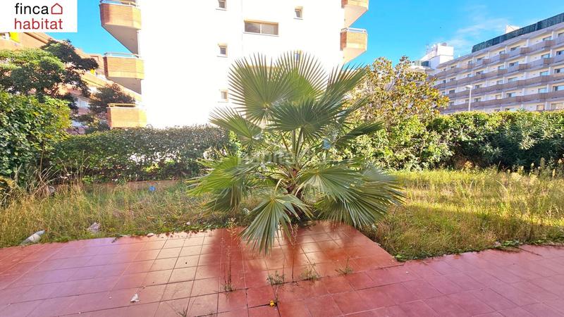 Foto dbef8bfe-4893-4432-a3e1-d73d9a4b907d. Planta baixa amb piscina a Fenals Lloret de Mar