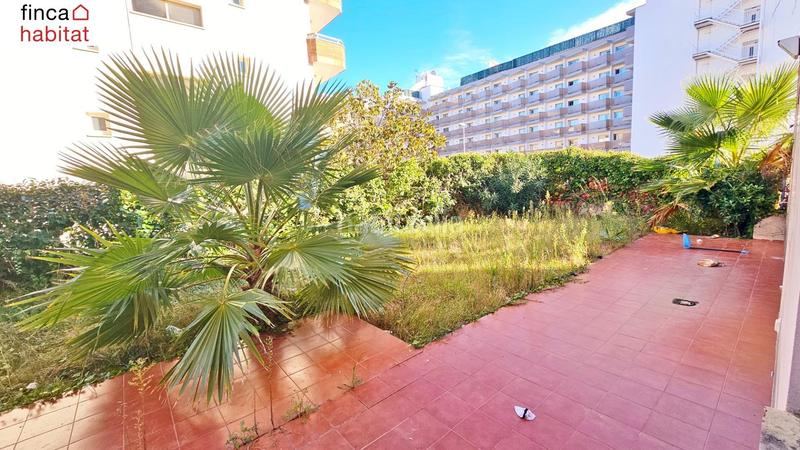 Foto ece55360-482a-4f7a-9a04-57cf5eec9740. Planta baixa amb piscina a Fenals Lloret de Mar