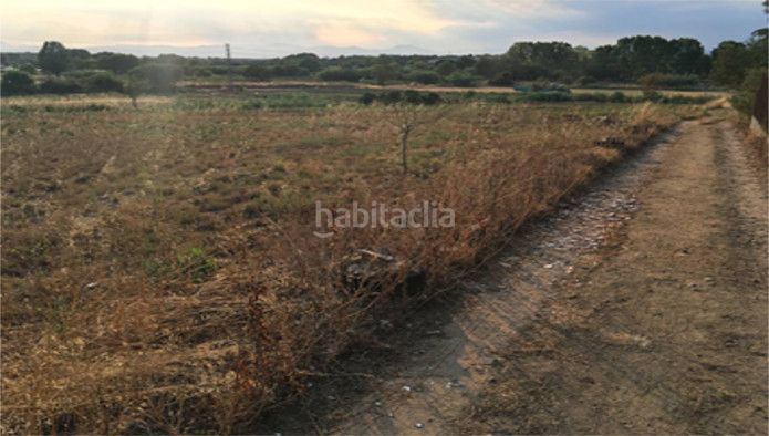Foto 700a6982-74da-48d9-9870-a68b504f4176. Terreny residencial a Llagostera