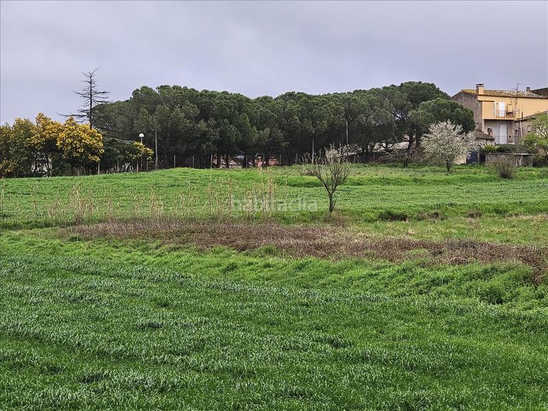 Foto 8498b8f1-9d08-47d9-ad01-f217ae0081de. Terreny residencial a Llagostera