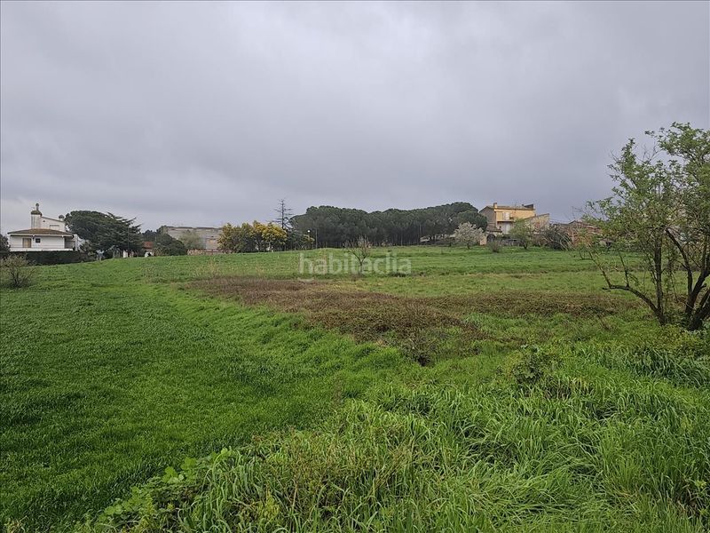 Foto fd511d71-9cfd-49d6-9f2b-672e79f2cfc3. Terreny residencial a Llagostera