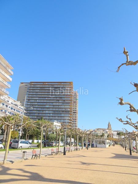 Foto a9839bb8-9b8f-4c67-b453-389e40aad611. Lloguer pis amb calefacció a Platja Gran Palamós