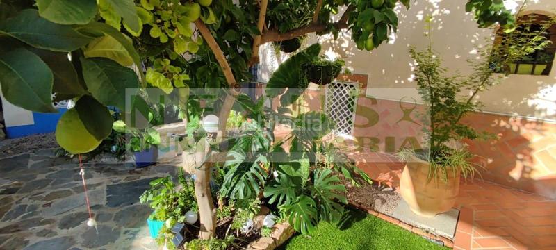 Foto 4b98a610-d9c7-4cf7-9cb9-d6f2a1097ad2. Casa  de ensueño en parte antigua en Casco Antiguo Cáceres