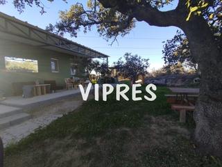 Maison à Valverde de Mérida. Es un campo grande de 10056m2 , con viñas olivos, tiene placas s