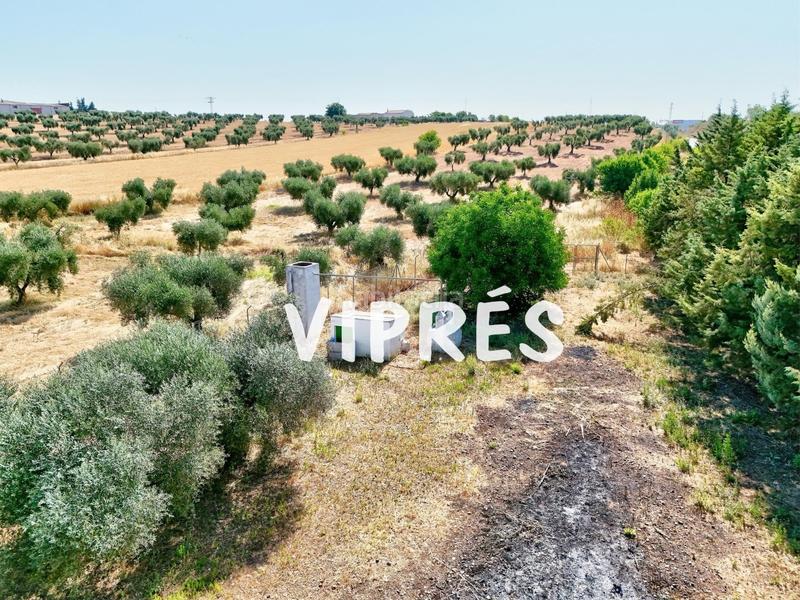 Foto 7c563a36-36f5-4f22-b0c8-acc1e8aaa989. Bauernhof in Norte Mérida