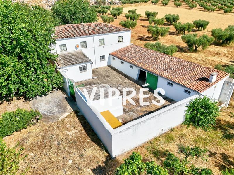 Foto f3235114-ed24-4bf8-857a-a437ecc30b3b. Bauernhof in Norte Mérida